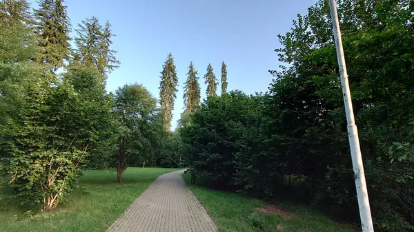 Yeşil parkta bir yürüyüş.