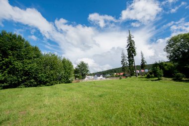 Parktaki yeşil çimenler ve ağaçlar.