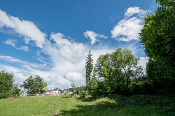Güzel bir manzara Ağacı ve mavi gökyüzü