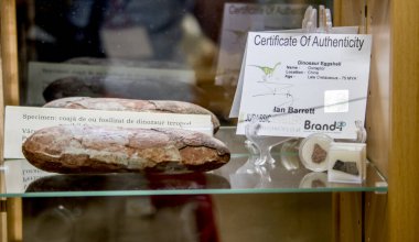 Güzel ve zarif bir mücevherin yakın plan fotoğrafı.