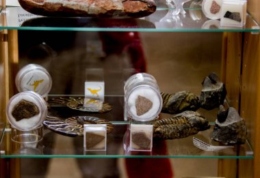 Güzel, zarif ve lüks bir düğün aksesuarının yakın çekimi.