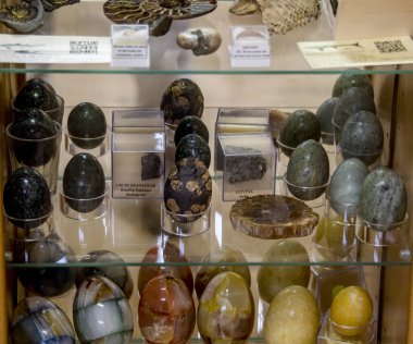 Doğal Tarih Müzesi 'nde Doğal Tarih Müzesi Tarih Tarihi Tarihi Müzesi