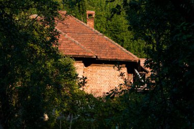 Ormanda ahşap bir ev.