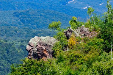 Doğanın güzel manzarası