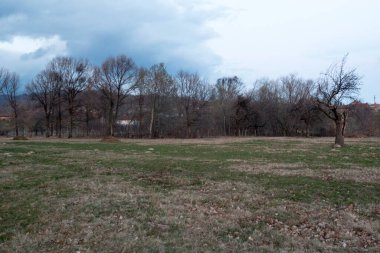 Kırsal kesimde bahar manzarası Rovinj, Sırbistan 'da