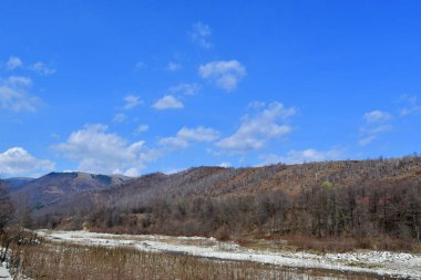 Nehir ve ağaçlarla dolu güzel bir manzara