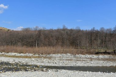 Nehir ve ormanlı güzel dağ manzarası