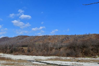 Dağlarda bir ağacı olan güzel bir manzara.