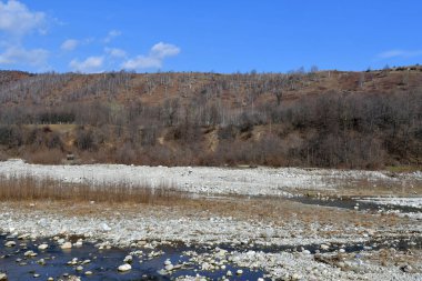 Sonbahar orman dağ dere