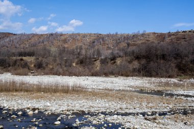 Ormanın arka planında beyaz karlı bir nehir.