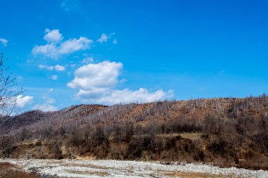 Ağaçlarla ve mavi gökyüzüyle manzara