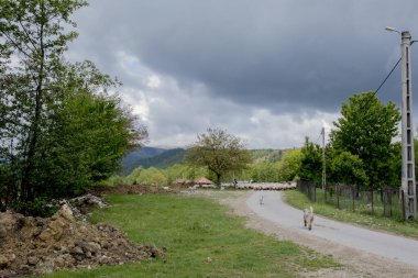 Köyün kırsal kesiminin güzel manzarası.