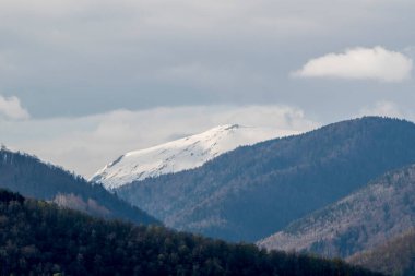 Moldova Cumhuriyeti 'nin ulusal günüdür. Moldova bayramı. Moldova Cumhuriyeti 'nin ulusal günü. Moldova bayramı.