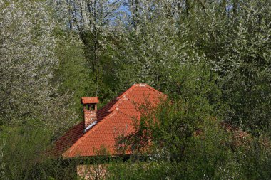 Doğanın güzel manzarası