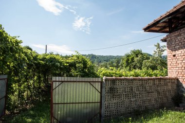 Dağlardaki bir evin önündeki ağaçların olduğu köy manzarası
