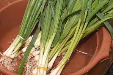 Piyasada taze taze soğan