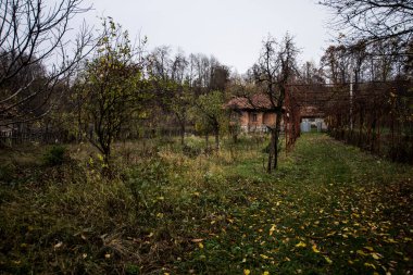 Şehir parkında terk edilmiş eski bir ev.