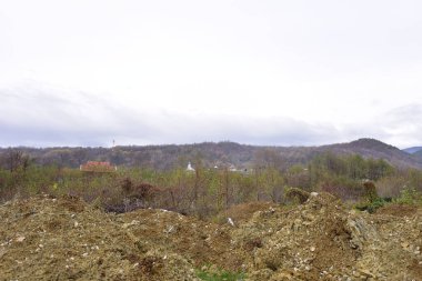 Ormanda bir toprak yığını