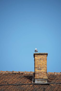 Evin çatısında mavi bir gökyüzü