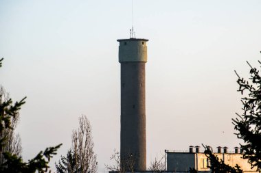 Kış ormanında baca