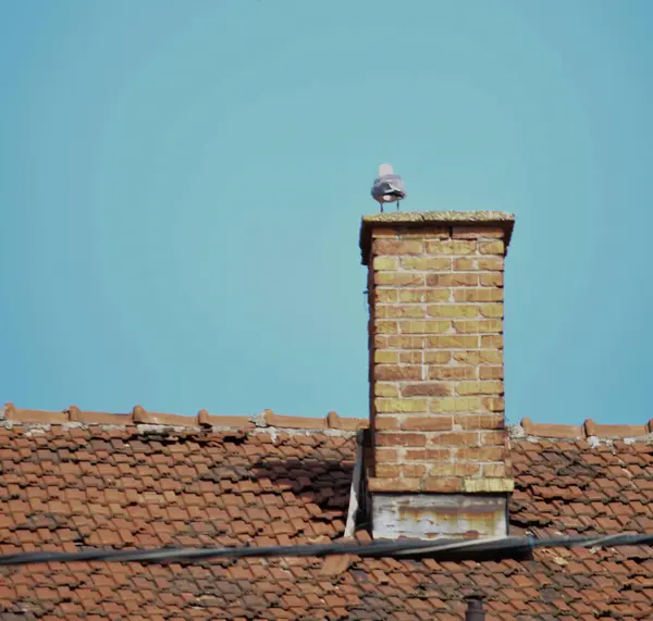 Baca ve baca bir evin önünde. Beyaz bulutlu mavi gökyüzü.