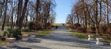 Parkın güzel manzarası