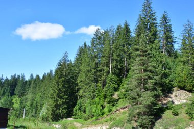 Dağlarda ahşap bir ev manzarası