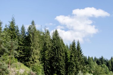 Güzel dağ manzarası. Doğa konsepti