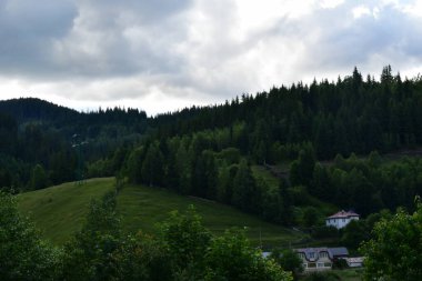 Dağları ve ormanı olan güzel bir manzara.