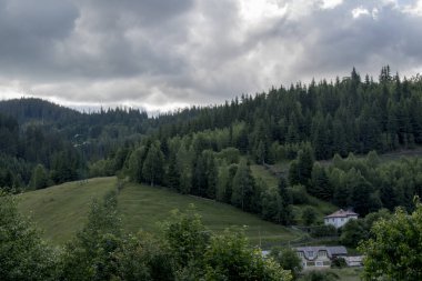 Yeşil otlarla, Karpat dağlarıyla güzel dağ manzarası.