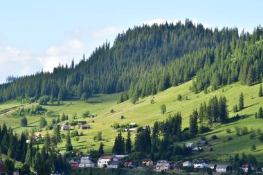 Yeşil çimenler ve ağaçlarla kaplı güzel bir dağ manzarası