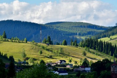 Yaz aylarında yeşil tepeler