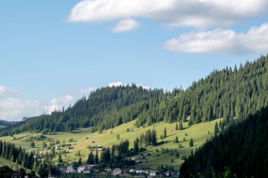 Dağlardaki yeşil orman