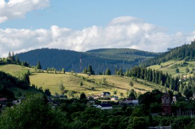 Yaz dağı manzarası. Güzel yeşil çayır ve orman.