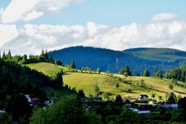 Yaz aylarında Karpat Dağları.
