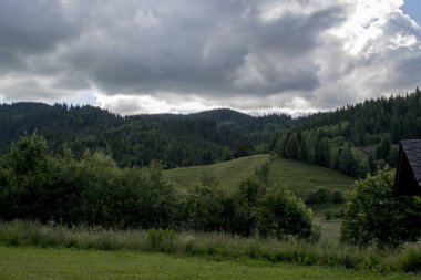 Karpatlar 'da güzel bir yaz günü