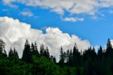 Bulutlar üzerinde yeşil orman