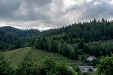 Dağlı güzel yaz manzarası