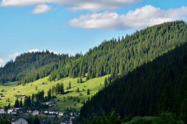 Dağların yeşil çayırı