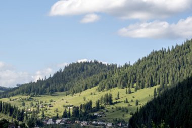 Yazın Karpat Dağlarının güzel manzarası