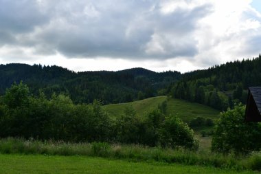 Tepelerdeki güzel yeşil çimen görüntüsü.