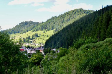 Yazın dağ vadisi manzarası