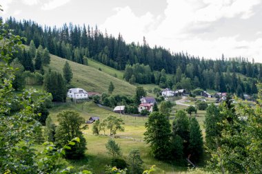 Yeşil ormanın ortasında küçük bir köy. Evleri ve arka planda bir köyü var..