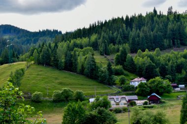 Karpat Dağları manzarası. Orman, tepeler ve yeşil çayırlar ile güzel bir yaz manzarası Ukrayna 'da bulutlu bir hava