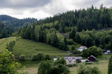 Yazın dağ nehri olan güzel bir manzara. Karpatlar, Ukrayna
