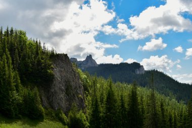 Yeşil dağ manzarası. Güzel yeşil orman. yüksek tatra