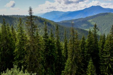 Yazın Karpat Dağları.