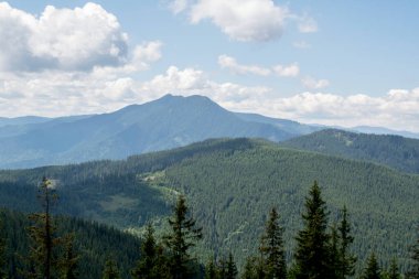 Güzel yaz manzarası dağlardaki Polonya Zeszow 'u