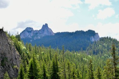 Dağların ve nehrin manzarası