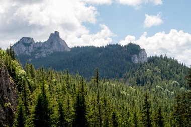 Yüksek kaliteli resimli ağaçlarla kayalık bir dağ manzarası.